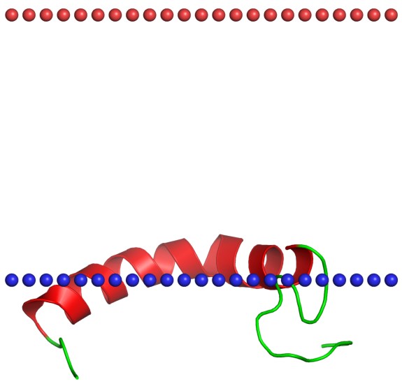 Mempro™ Cell-Free Peptide Fragments of Water-soluble Proteins Production